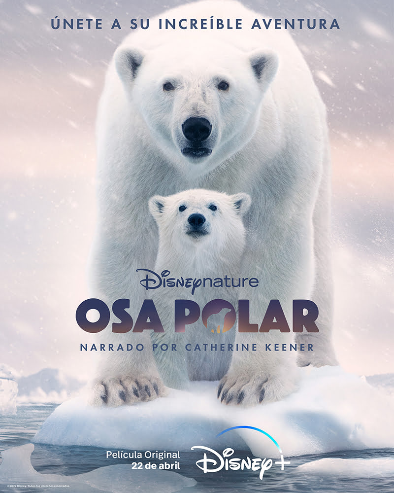 Polar Bear Movie 2022, Official Trailer, Release Date, HD Poster