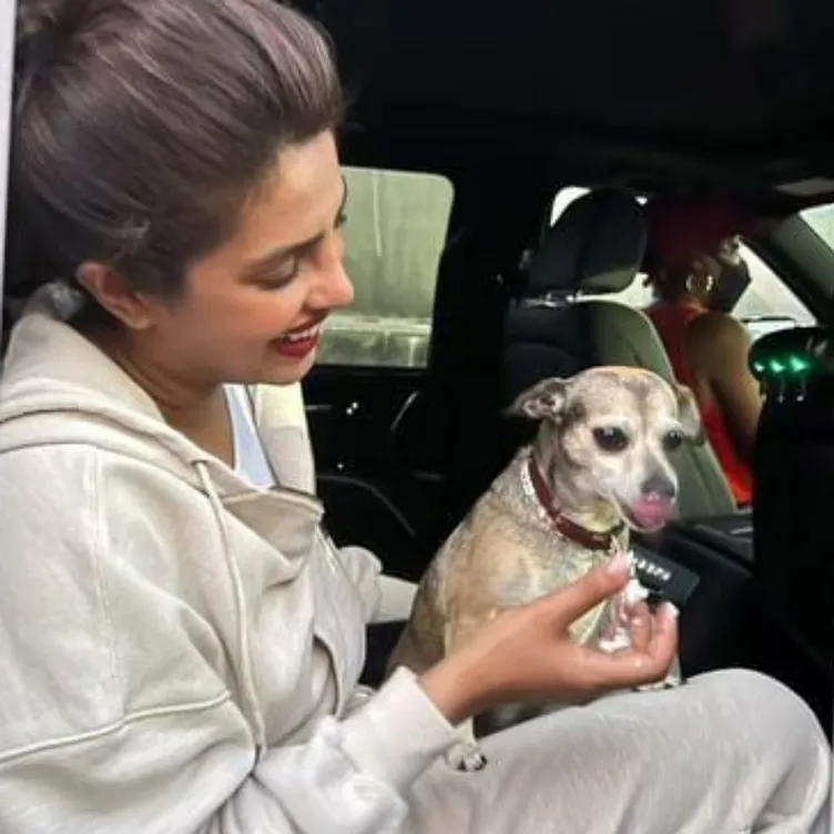 Priyanka Chopra Jonas’ birthday wish for pet dog Diana is too cute to miss!