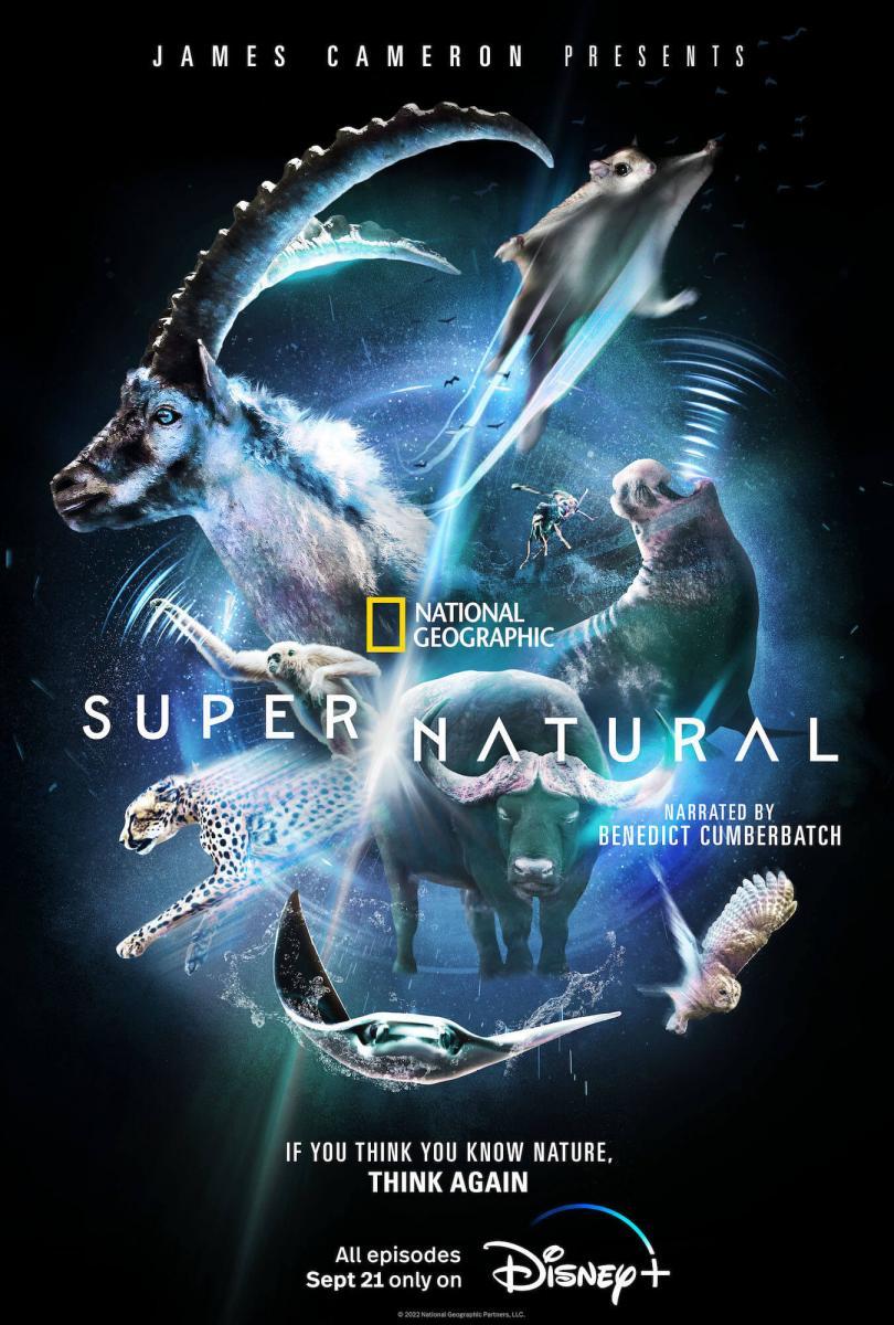 Super/Natural TV Series 2022, Official Trailer, Release Date