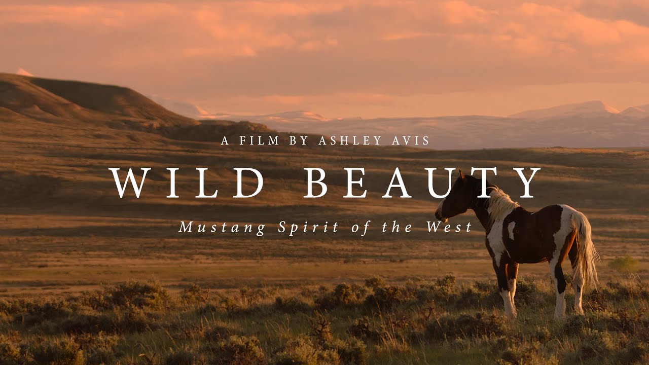 Wild Beauty Mustang Spirit of the West Movie 2023, Official Trailer