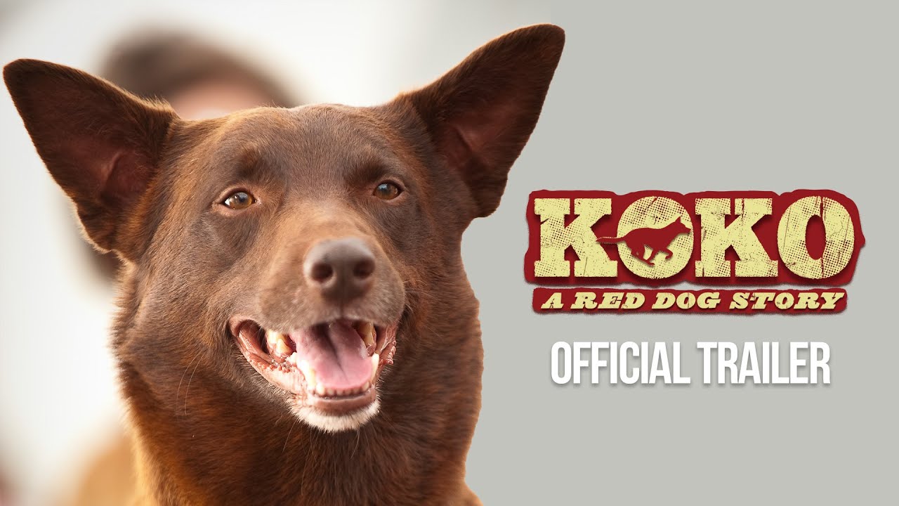  Koko A Red Dog Story Movie 2023, Official Trailer