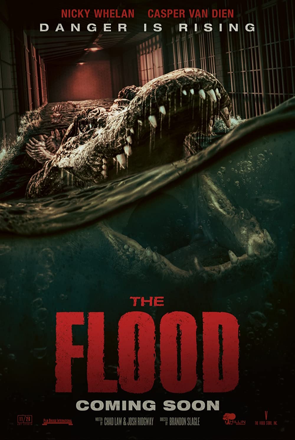 The Flood Movie 2023, Official Trailer, Release Date